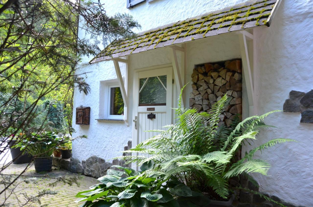 Birgits Landhaus Willingen Willingen (Upland) Exterior foto