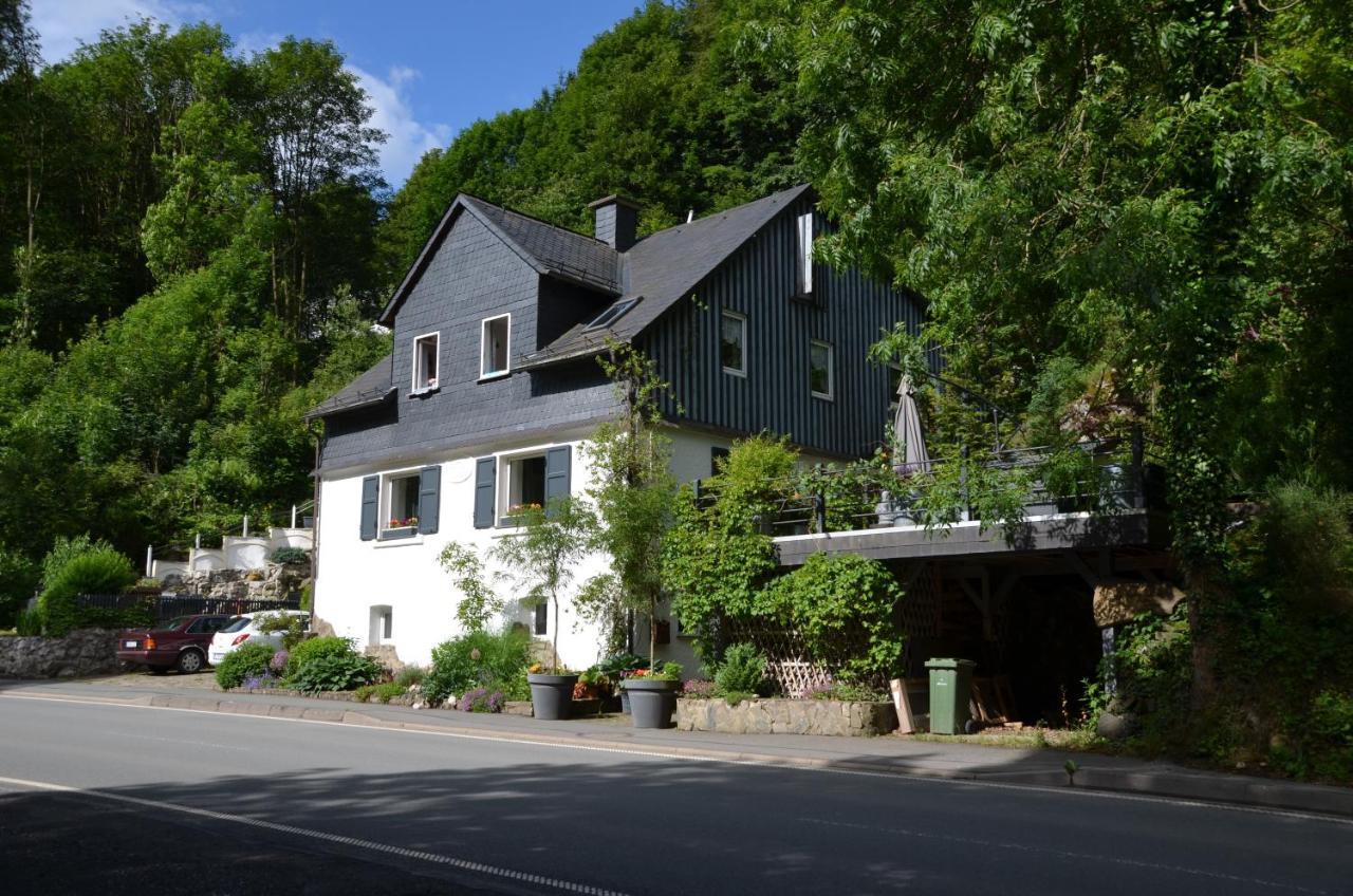 Birgits Landhaus Willingen Willingen (Upland) Exterior foto