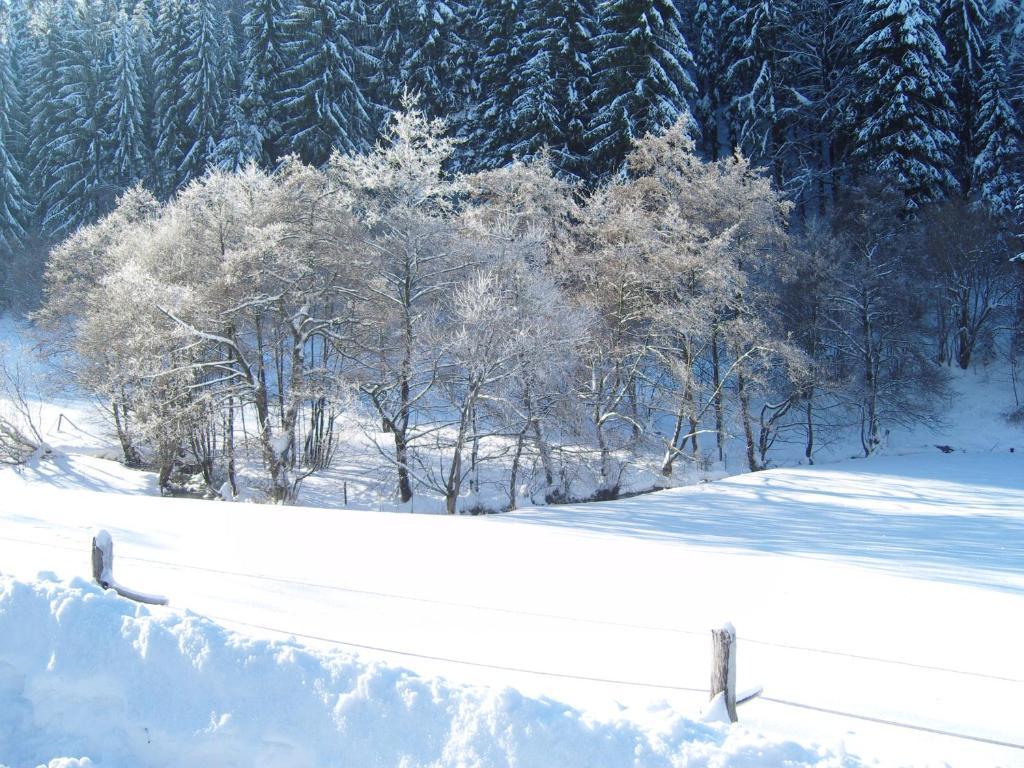 Birgits Landhaus Willingen Willingen (Upland) Exterior foto